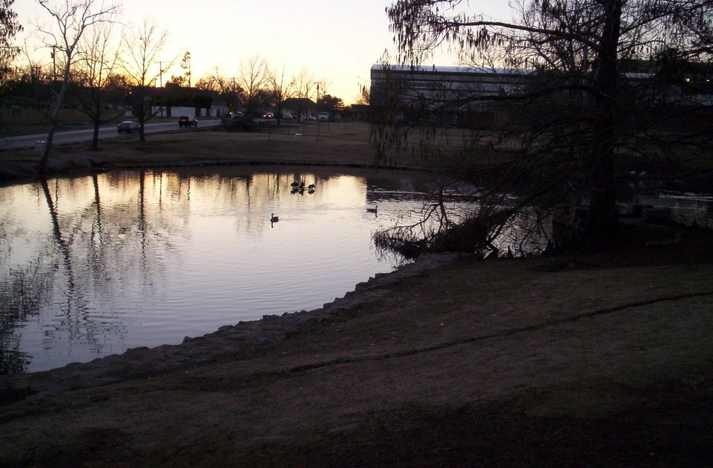 The Duck Pond 1