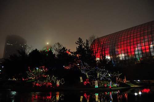 Christmas Lights at the Myriad Botanical Gardens