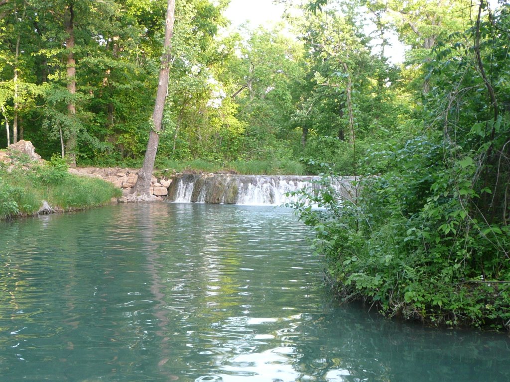 Davis