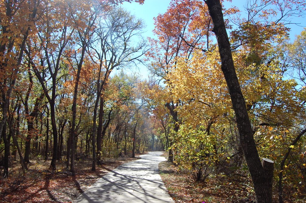 Fall at Arbor Hills Park, Plano, TX