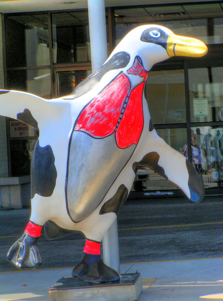 Cow Penguin