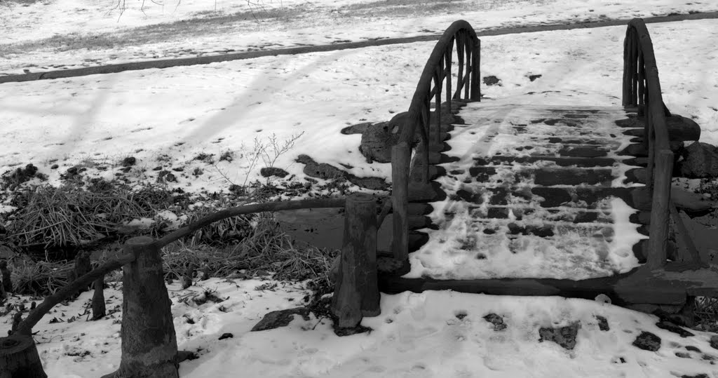 Little Snow Covered Bridge at Woodward Park