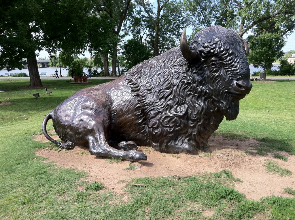 Buffalo