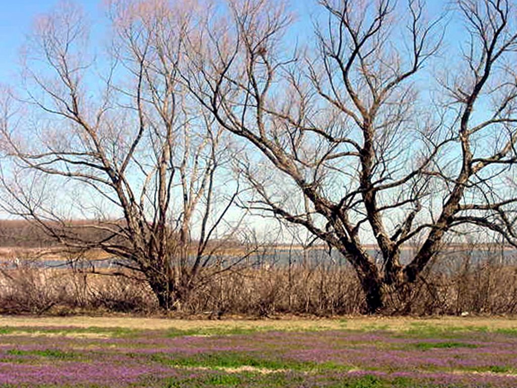 Lawton, OK
