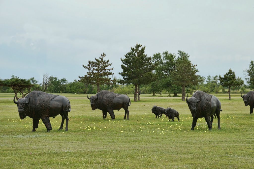 Lawton, OK near Airport