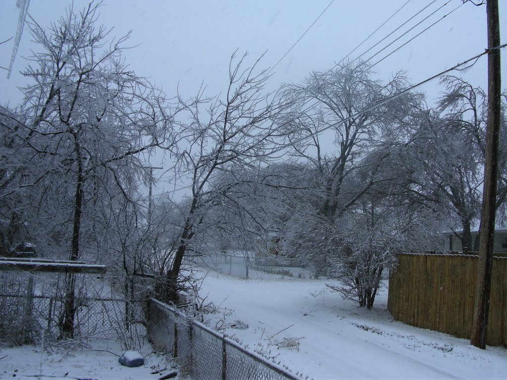 winter 2010