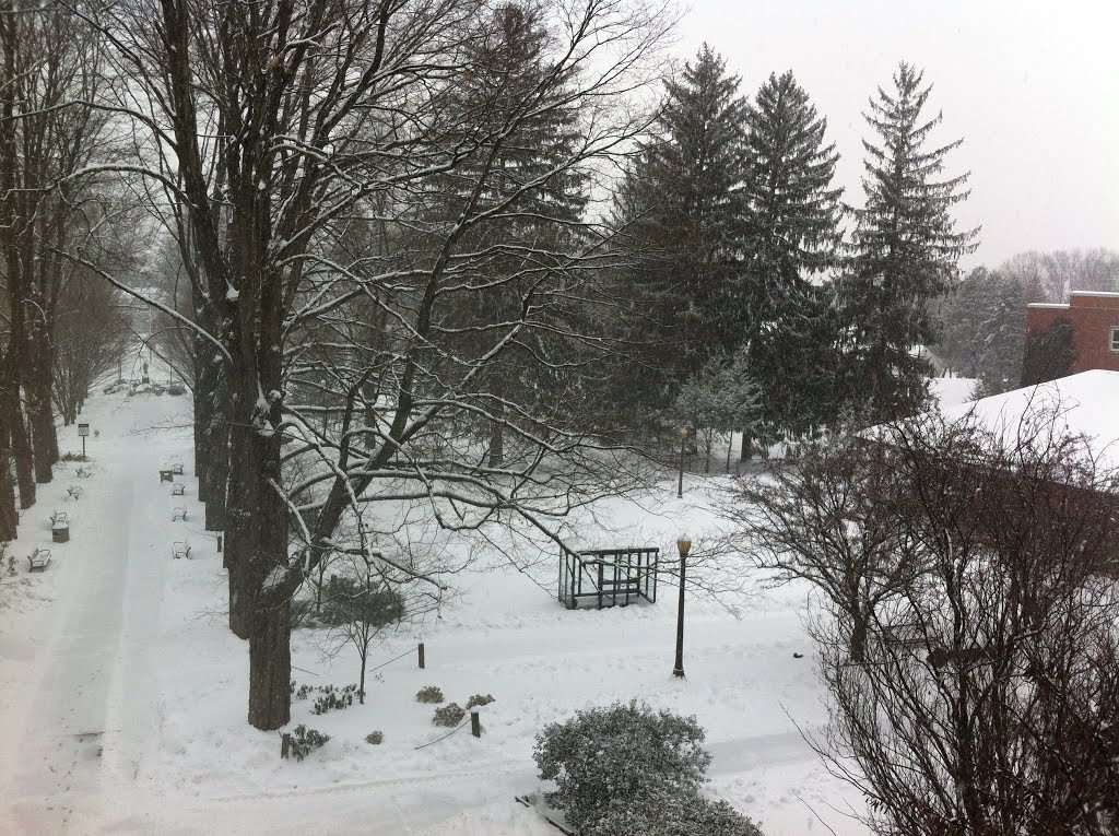 Winter Storm - View from Stroud Hall, ESU