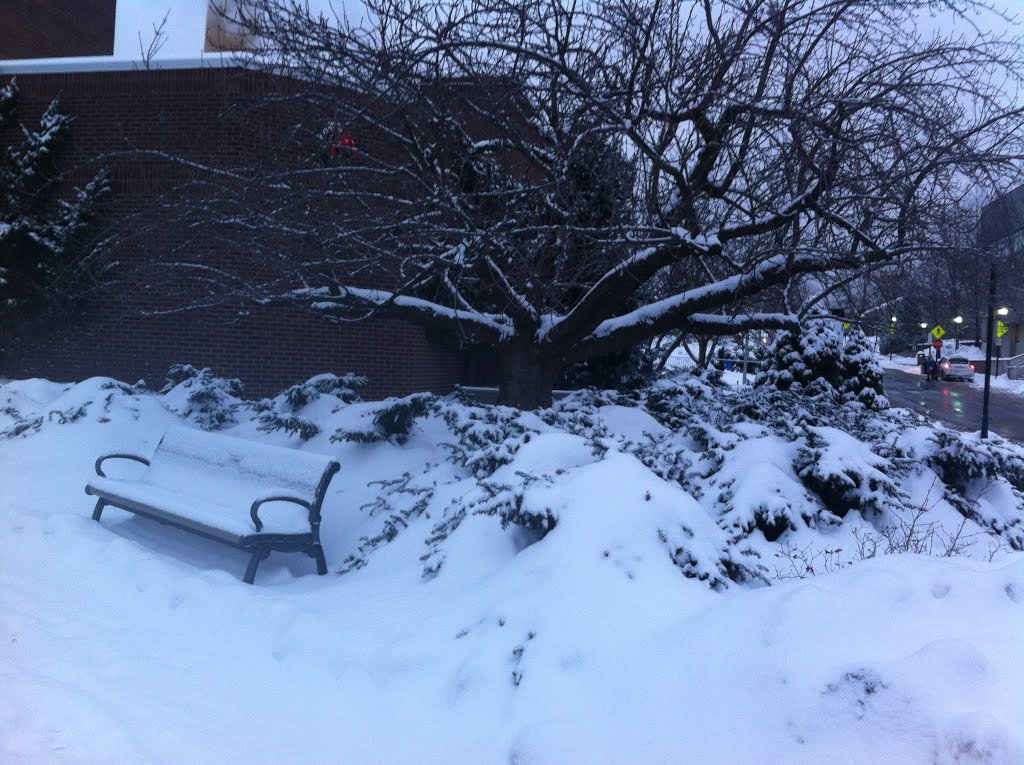 Winter Storm - Moore Building ESU