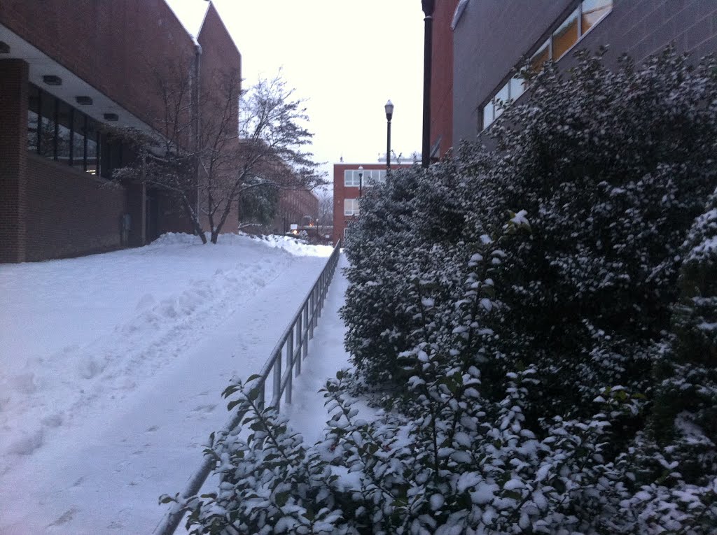 Winter Storm - ESU