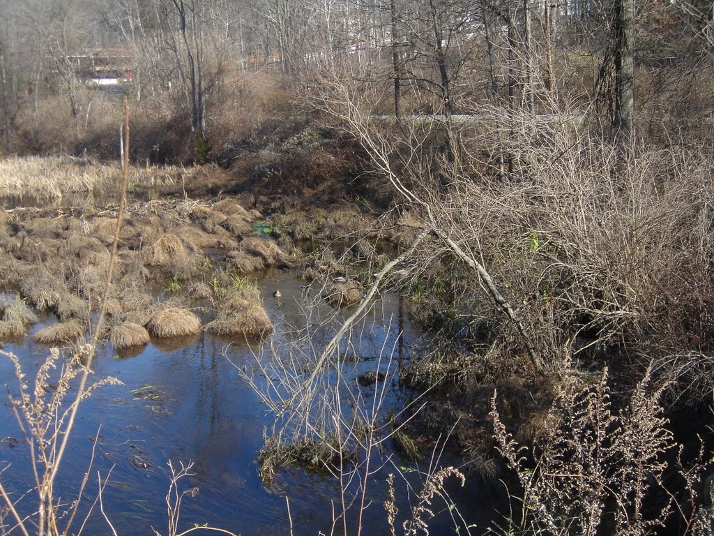 Creek on Javelyn Ln facing northeast