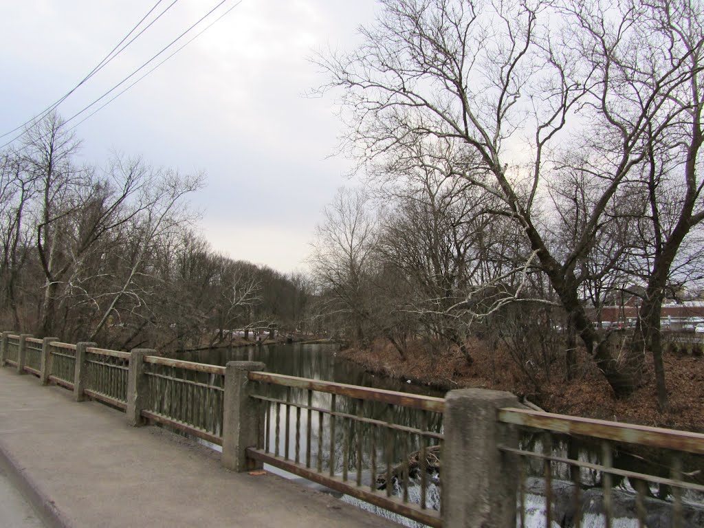 Rotary Creek