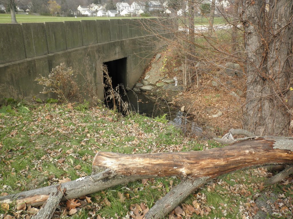 TTF Watershed "headwaters"