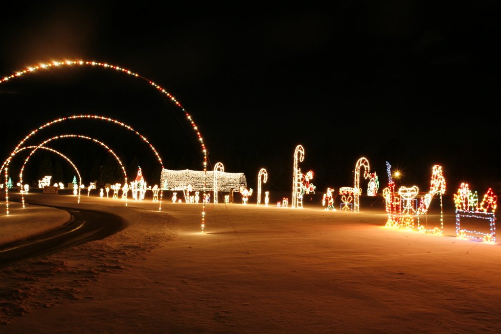 Lights in the Parkway in Allentown, Pa.