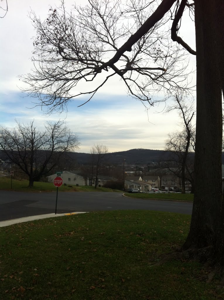 South Allentown Fall Afternoon