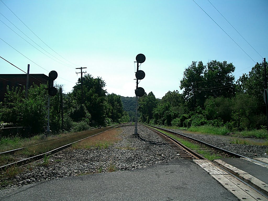 RR Signals