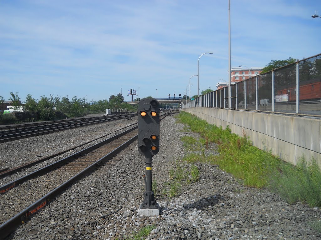 Dwarf signal