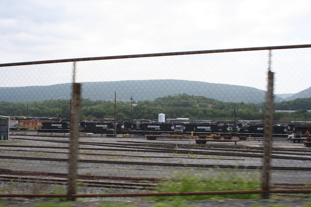 Lot OF NS