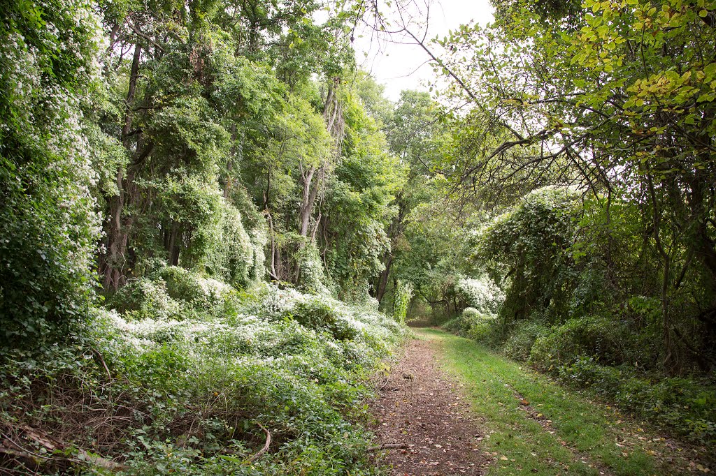 Trail on Willow Lake Farm Preserve