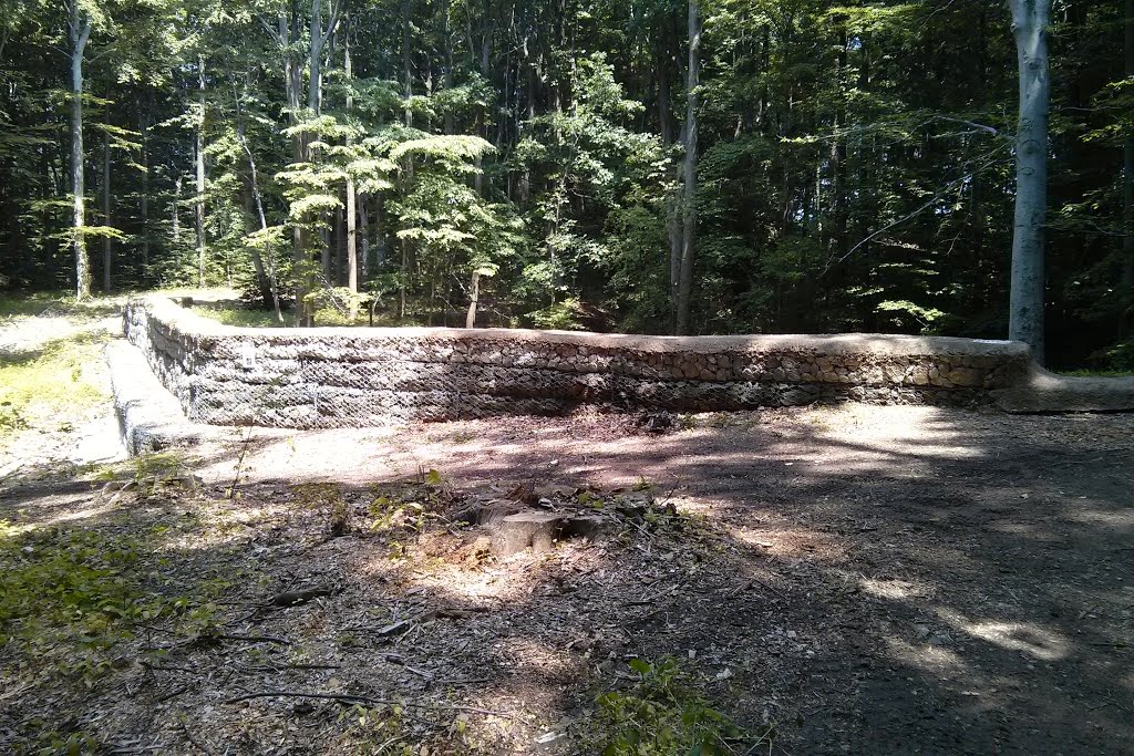 Dam