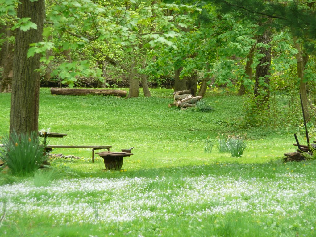 Cobbs Creek in My Back Yard, April   :^)