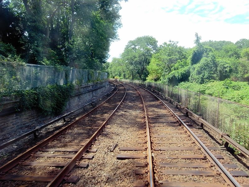 traveling in trees - SEPTA EL (the blue line)