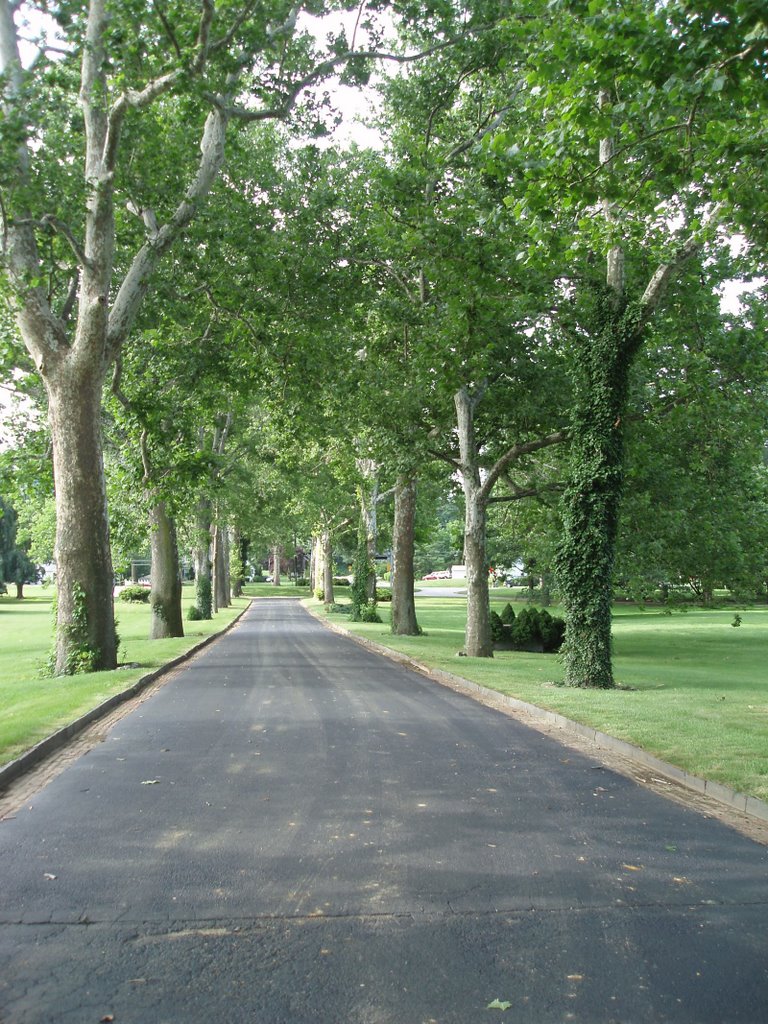 Valley Forge Memorial Gardens