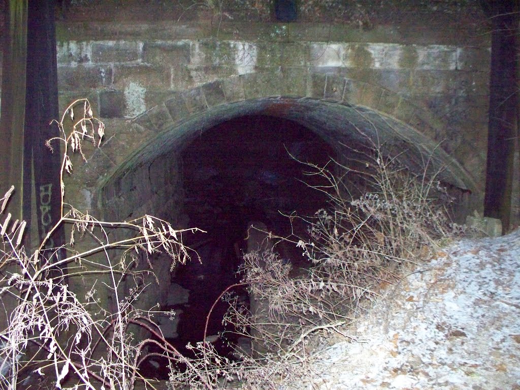Buttonwood St culvert/ storm tunnel