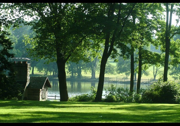 Duck Pond