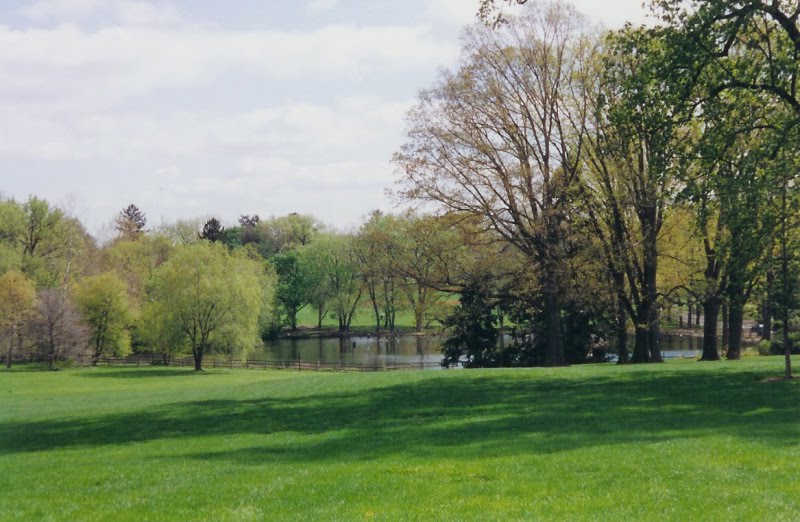 Duck Pond