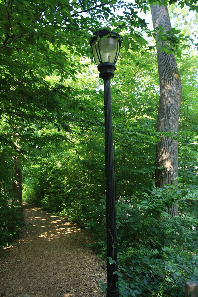 Lamp post