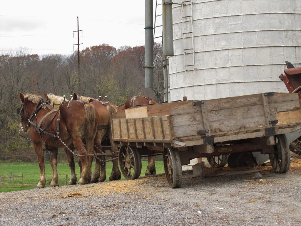 Noble Road Amish Wagon