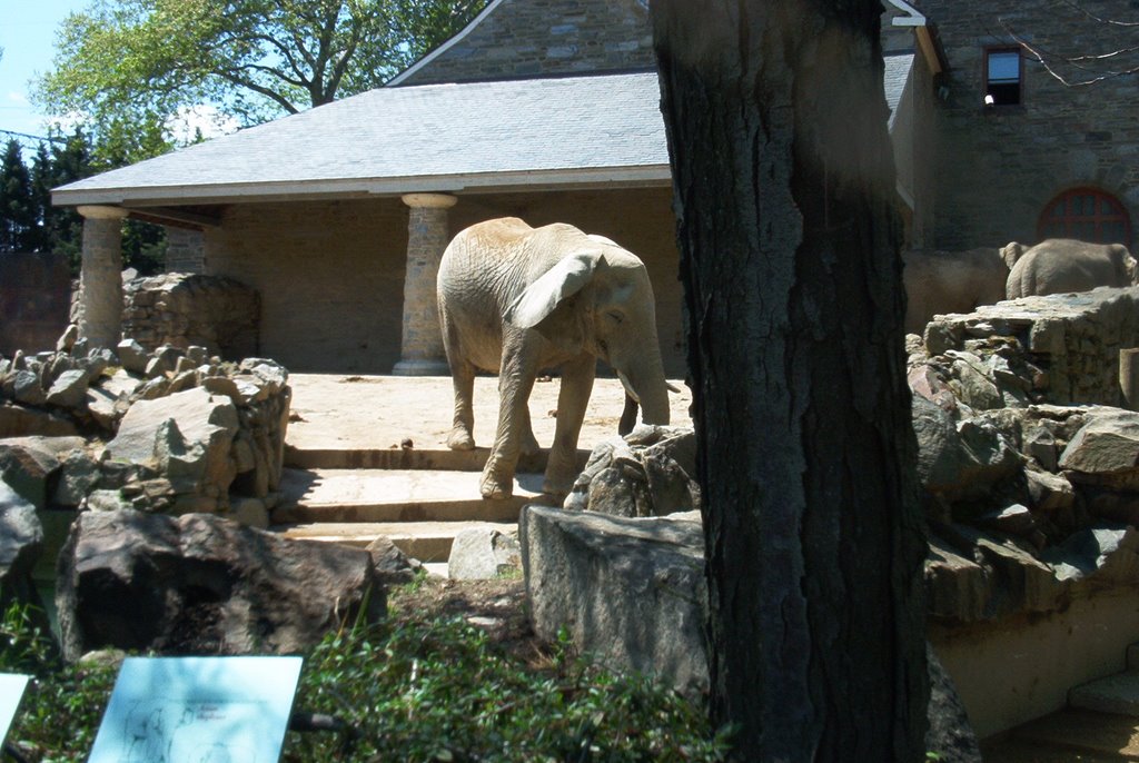 Philadelphia Zoo