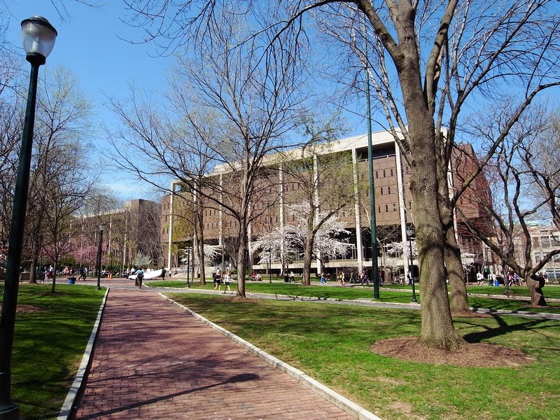 Penn campus in the early spring