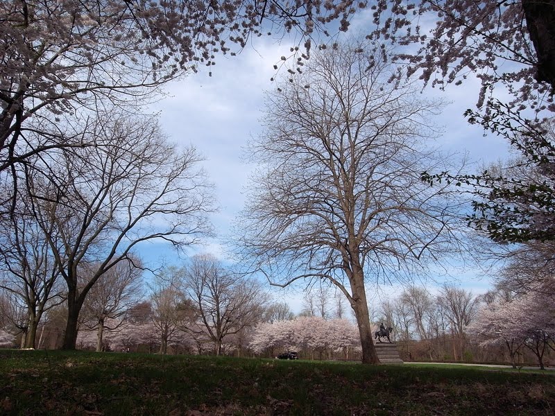 the landscape of Fairmount Park in early spring