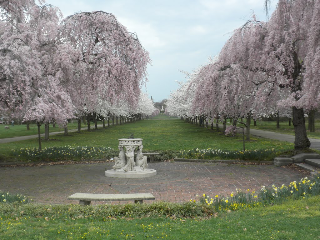 Sun Dial and cherry trees, Fairmount Horticulture Center
