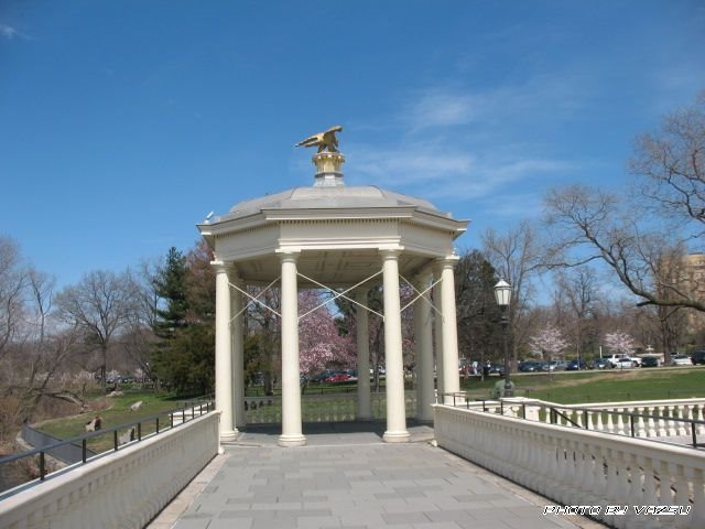 Pavilon