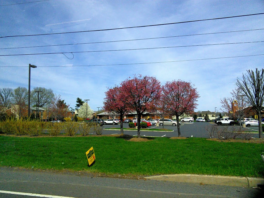 Texas Roadhouse Steakhouse on Street Road (4-19-2014)