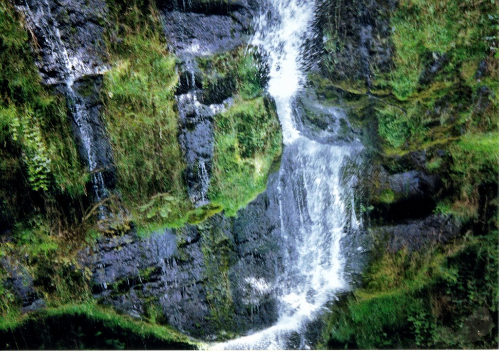 Canonteign Falls Devon 2