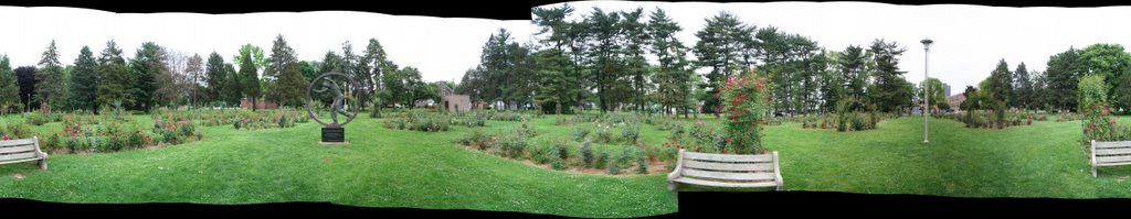 bethlehem rose garden