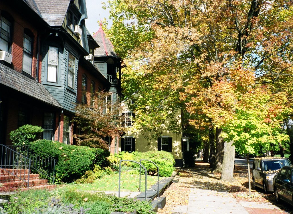 High Street Fall