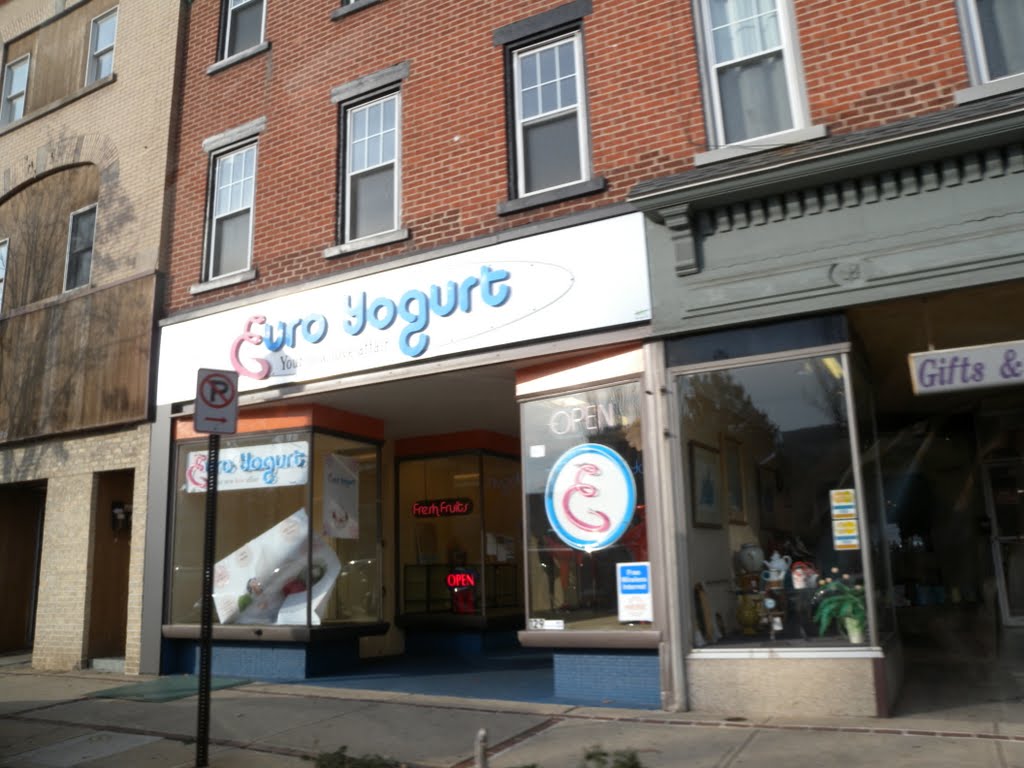 Euro Yogurt