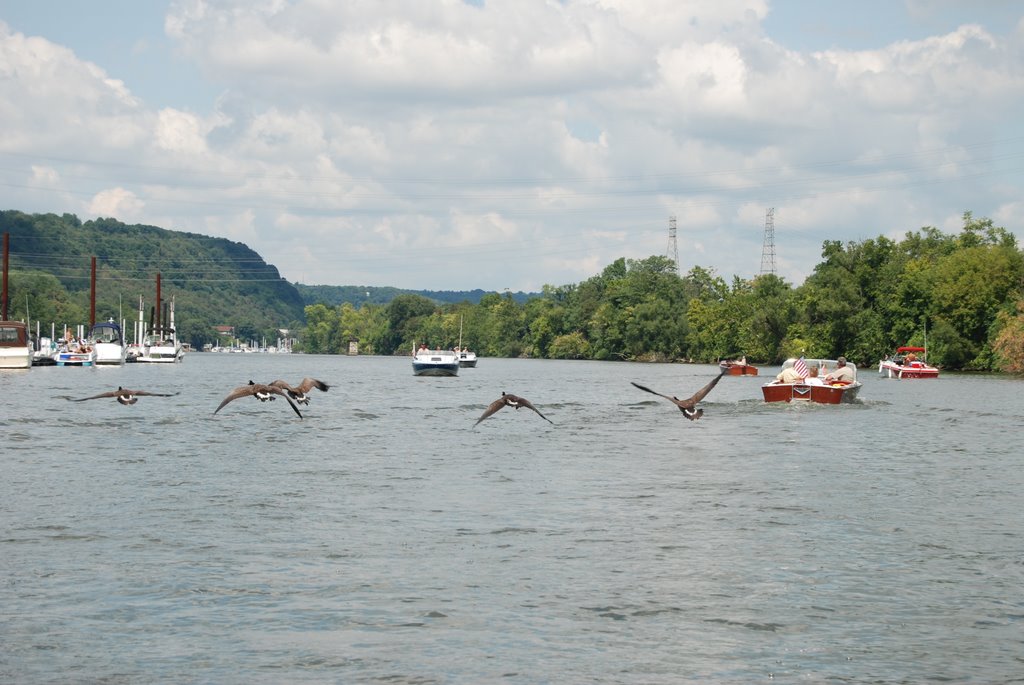 Canadian geese  and classic boats on the Beaver River.