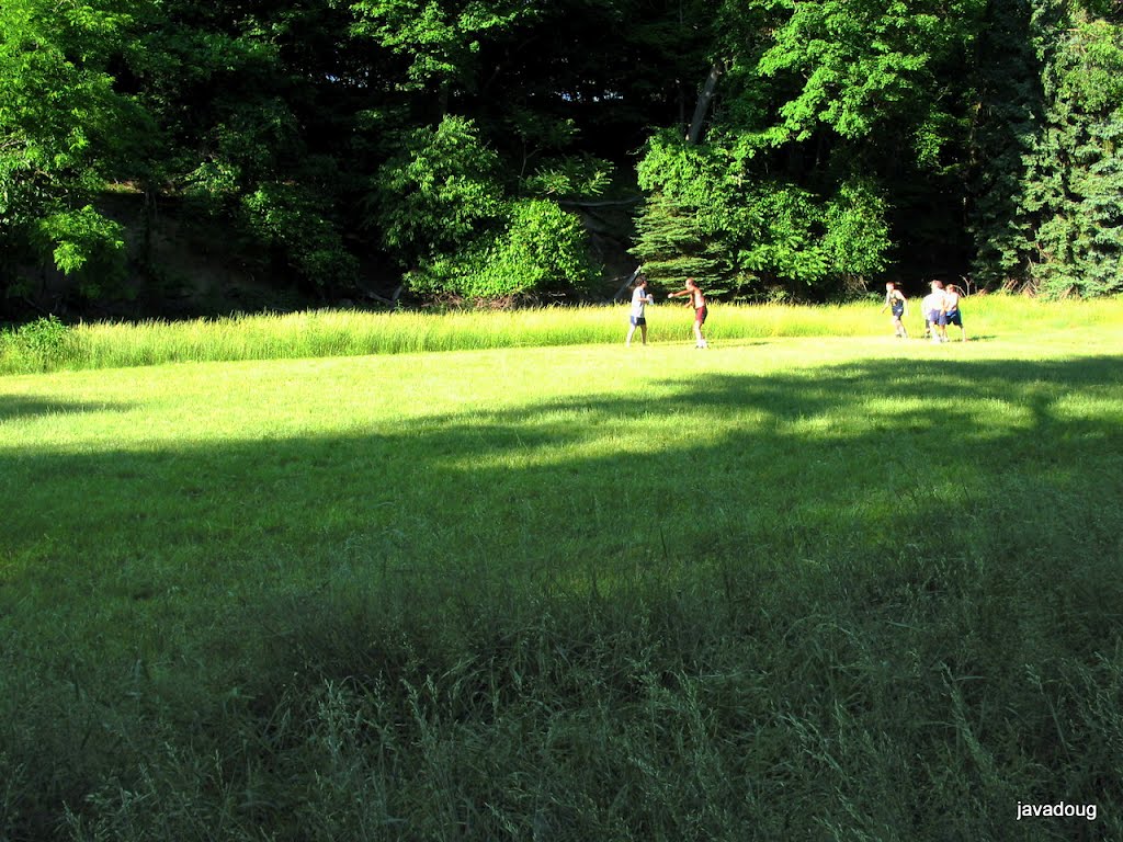 Ultimate, Frisbee, field, Westinghouse, Douglas Bauman