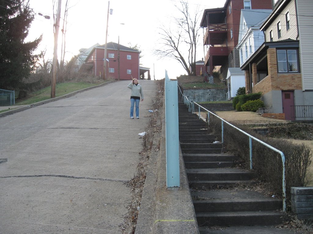 E. Woodford Avenue, Carrick, PA 15210