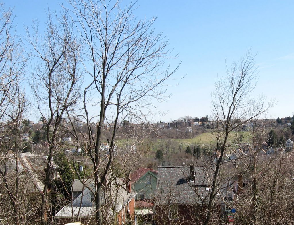 Carrick Neighborhood view from Brownsville Road