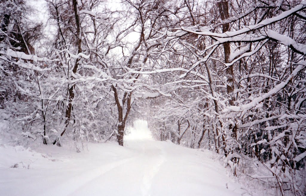 Snowy Alley