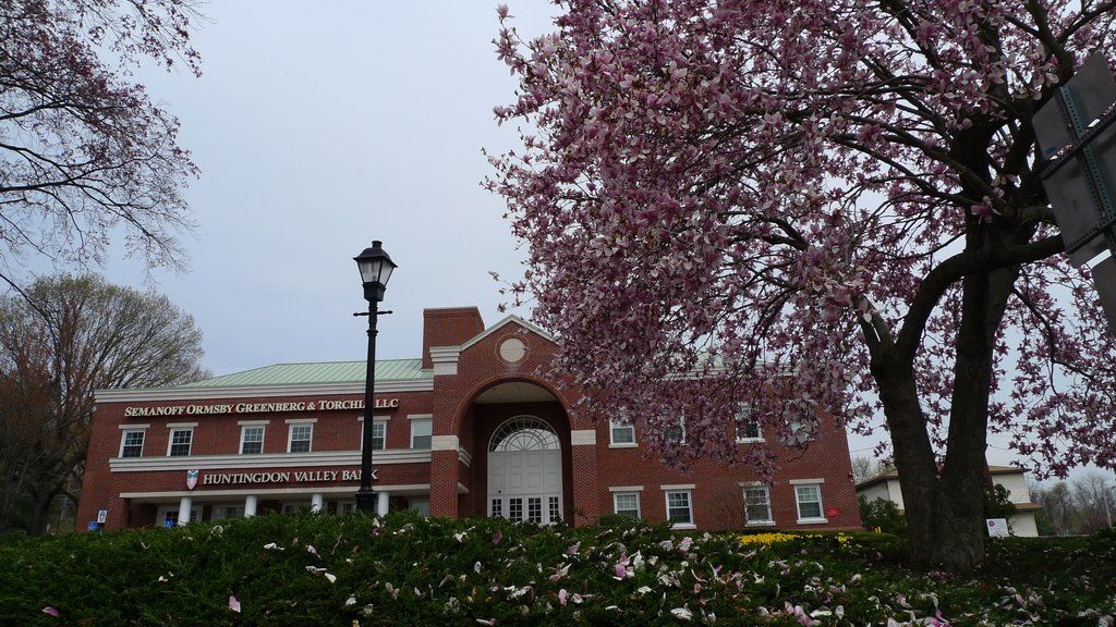 Huntingdon Valley Bank
