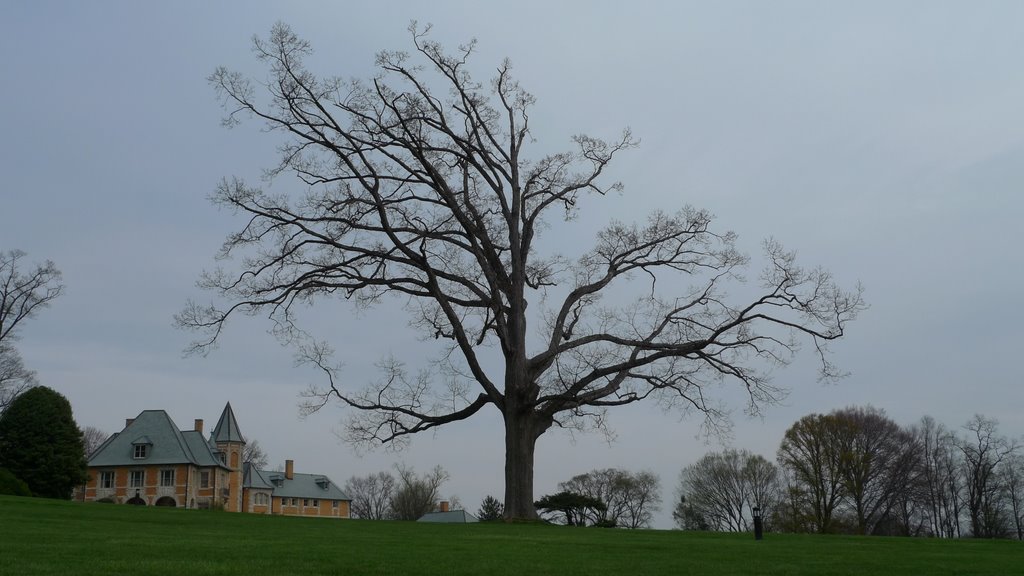 Bryn Athyn