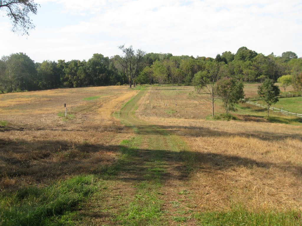 Meadow trail at Pennypack Watershed