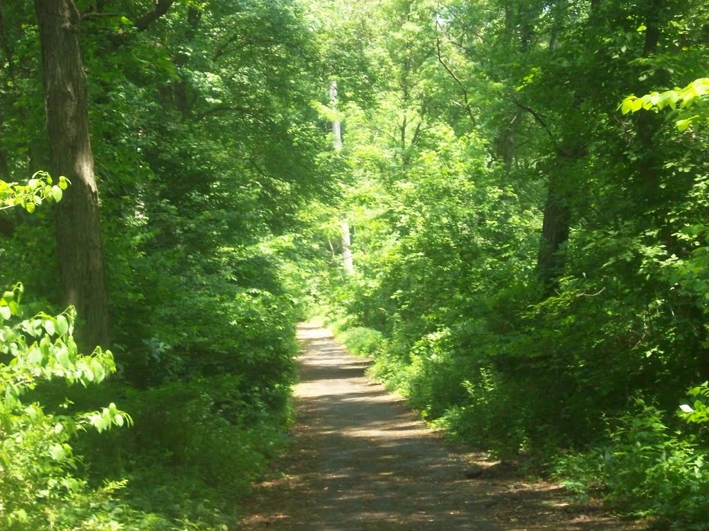 Pennypack Memorial Day 2011